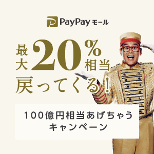 PayPayモールで100億円相当あげちゃうキャンペーン