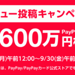 【総額1,600万円】Yahoo!ショッピングでレビュー投稿すると必ずPayPayポイントがもらえるキャンペーン